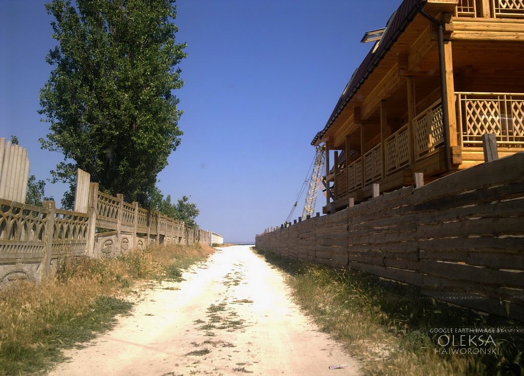 Road to the beach