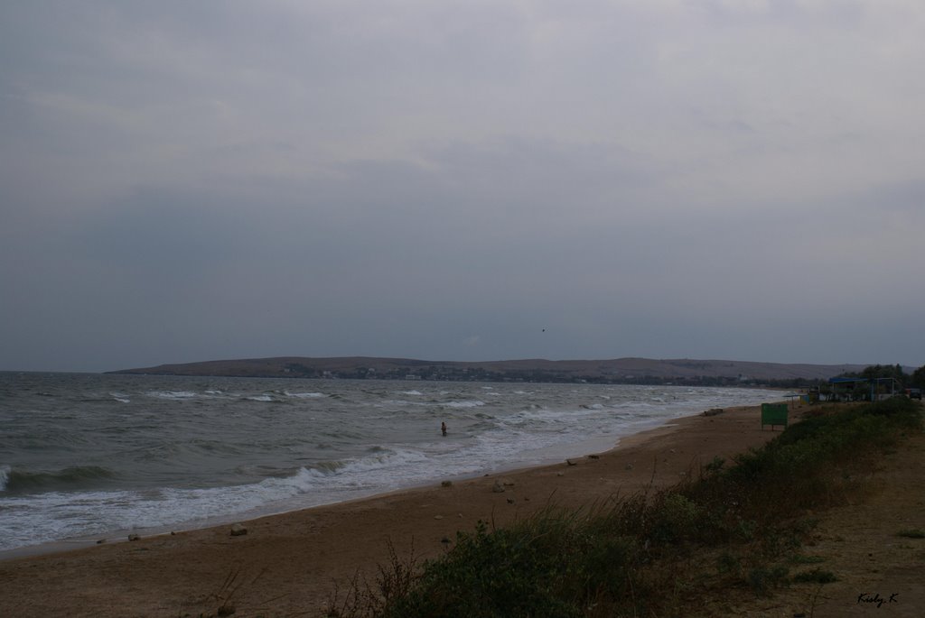 Shore of Shelkino