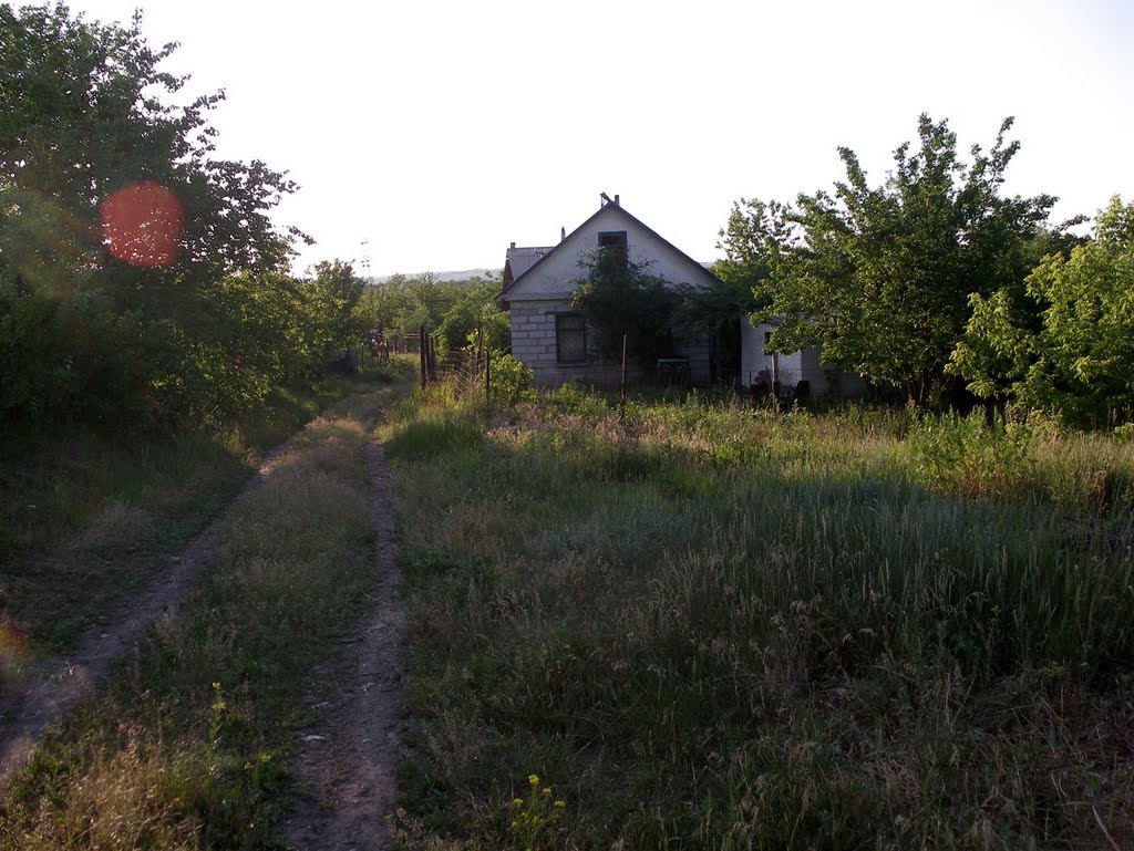 imgp7185