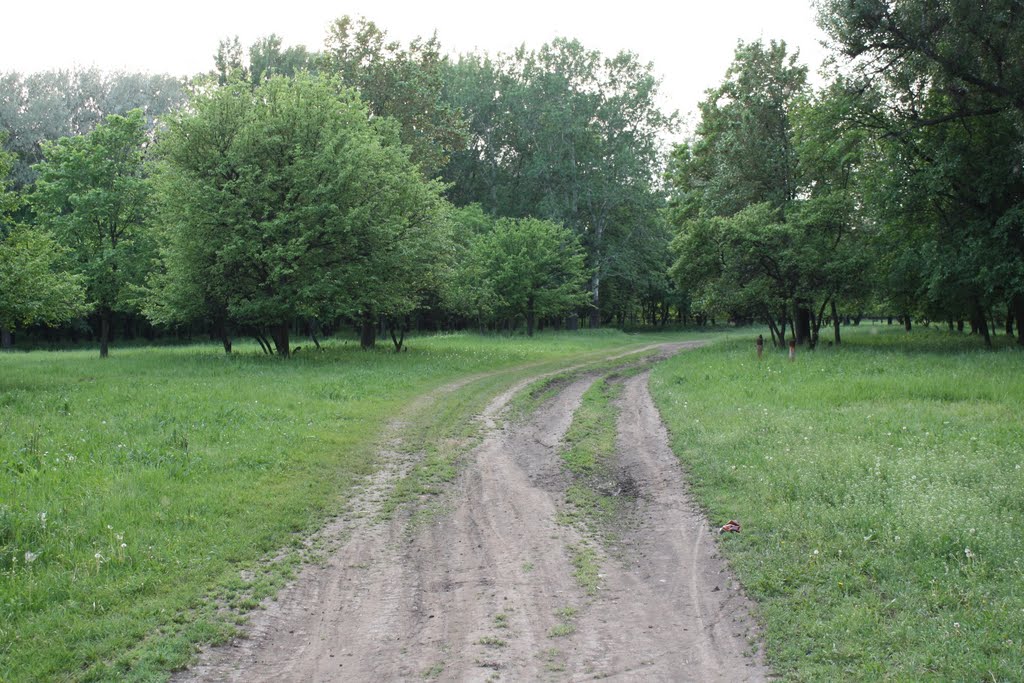Панский сад