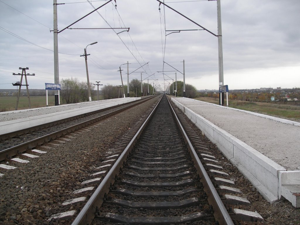 IMGP1244