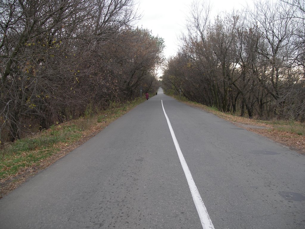 IMGP1248