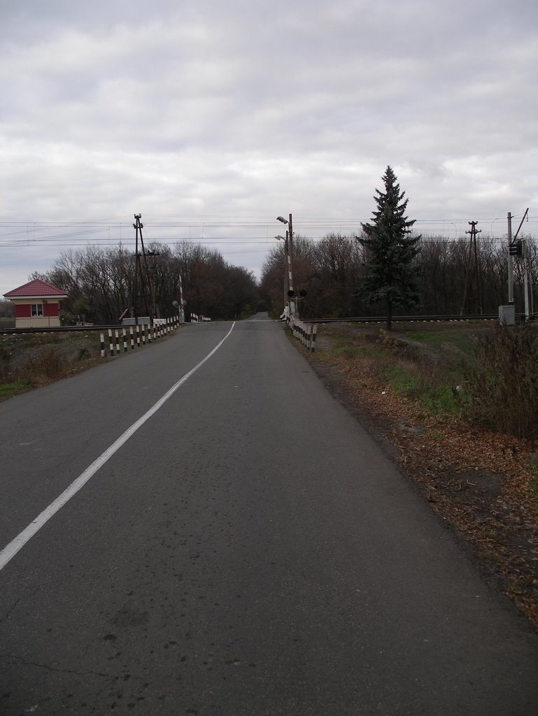 IMGP1249