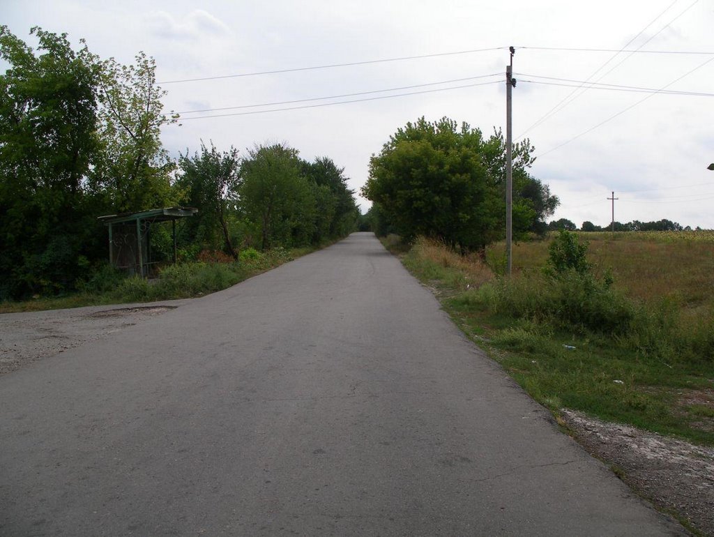 [Безымянный]