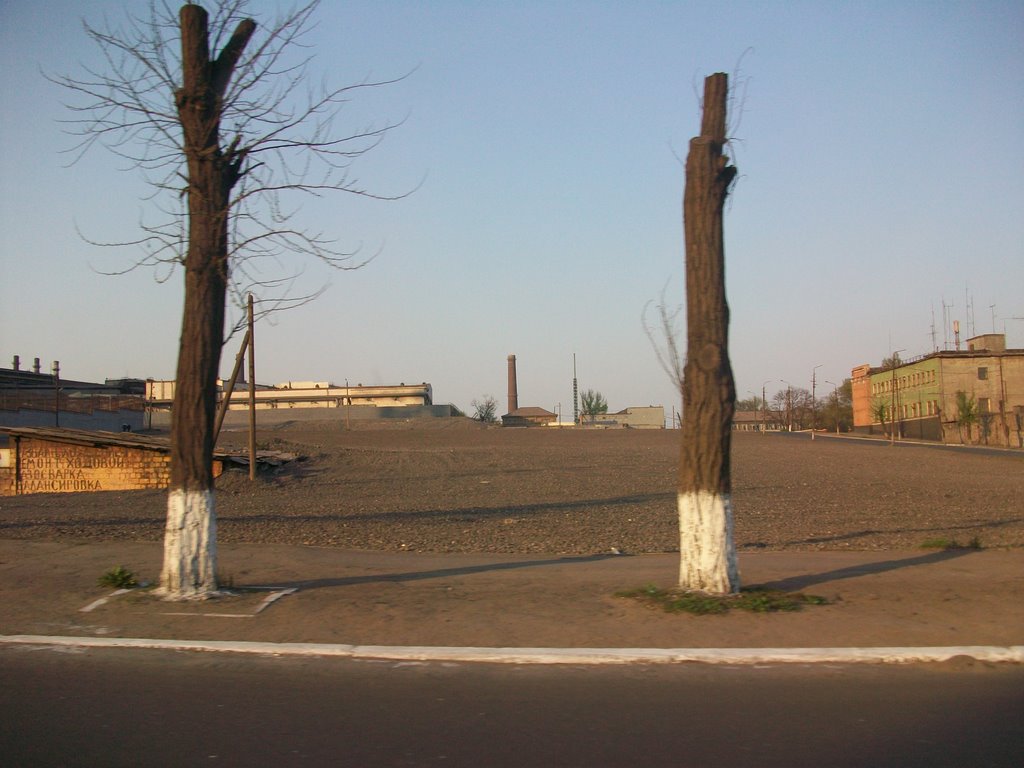 Такое вот поле