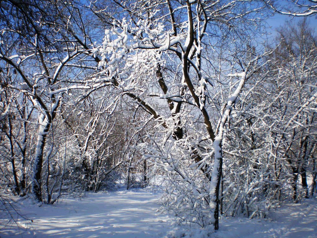 Больничный городок