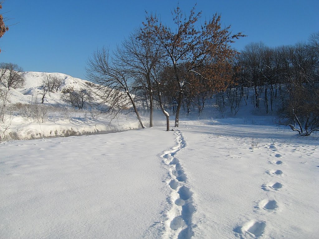 На зимней прогулке
