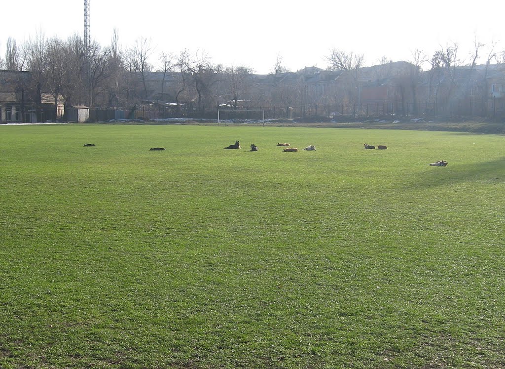 Команда на отдыхе