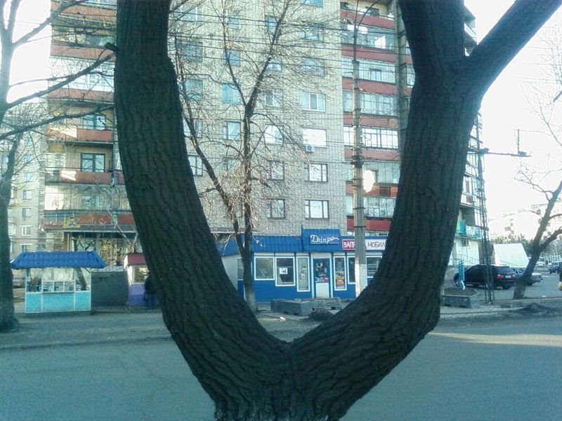 Центр