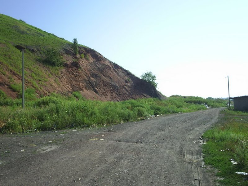 местность