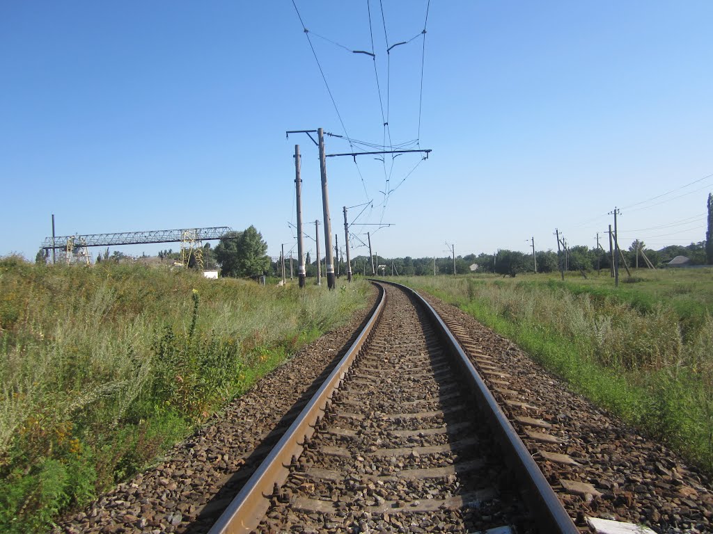 Кривая