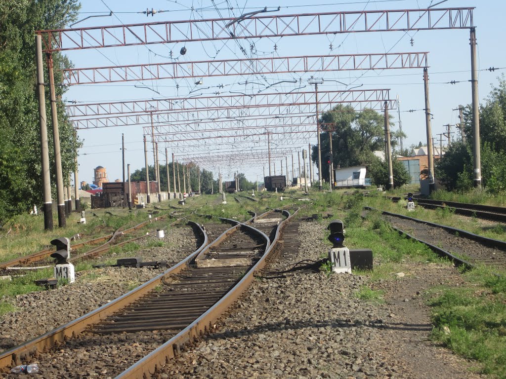 Готовы принимать пригородный