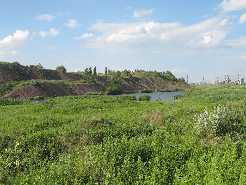 Даже здесь рыба водится