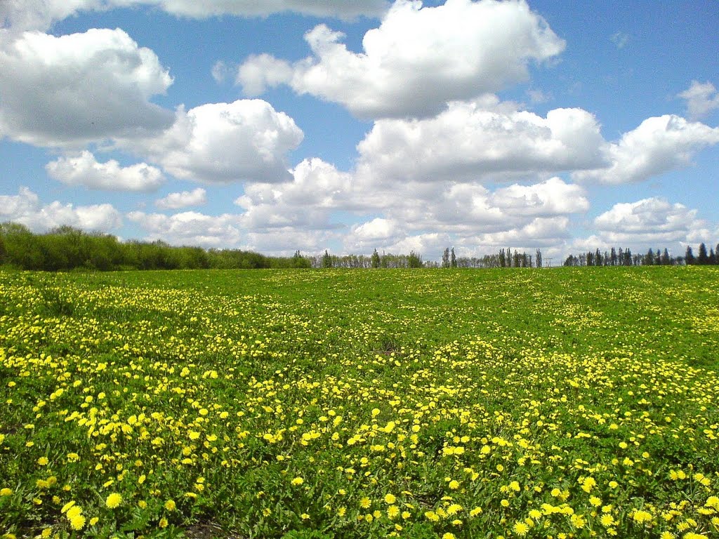 Super field.