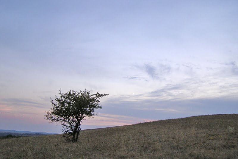 solitude