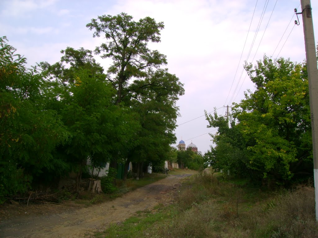 сельская дорога