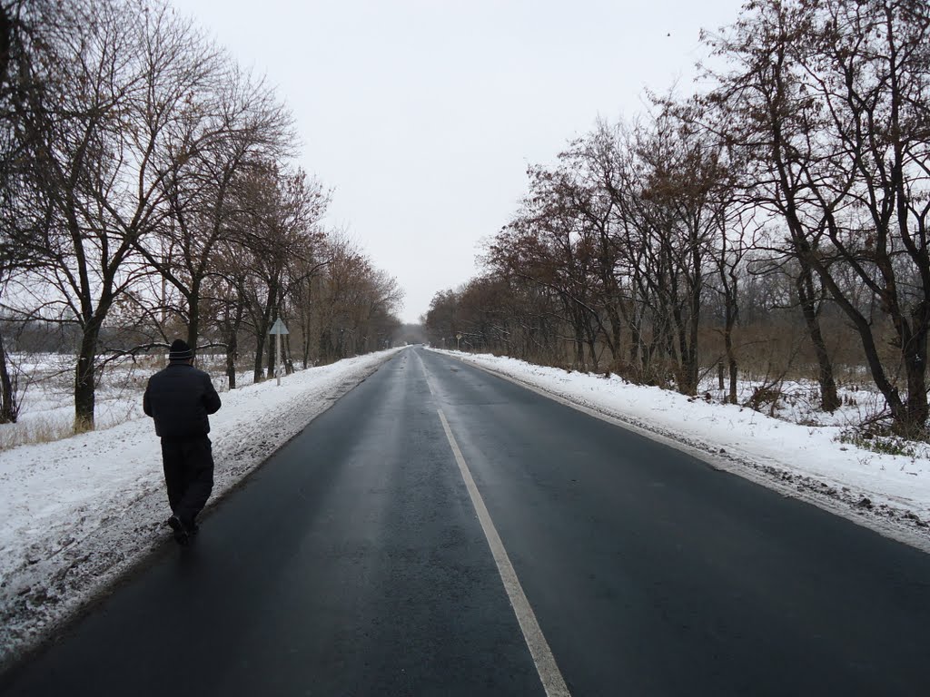 Трасса у нашего поселка