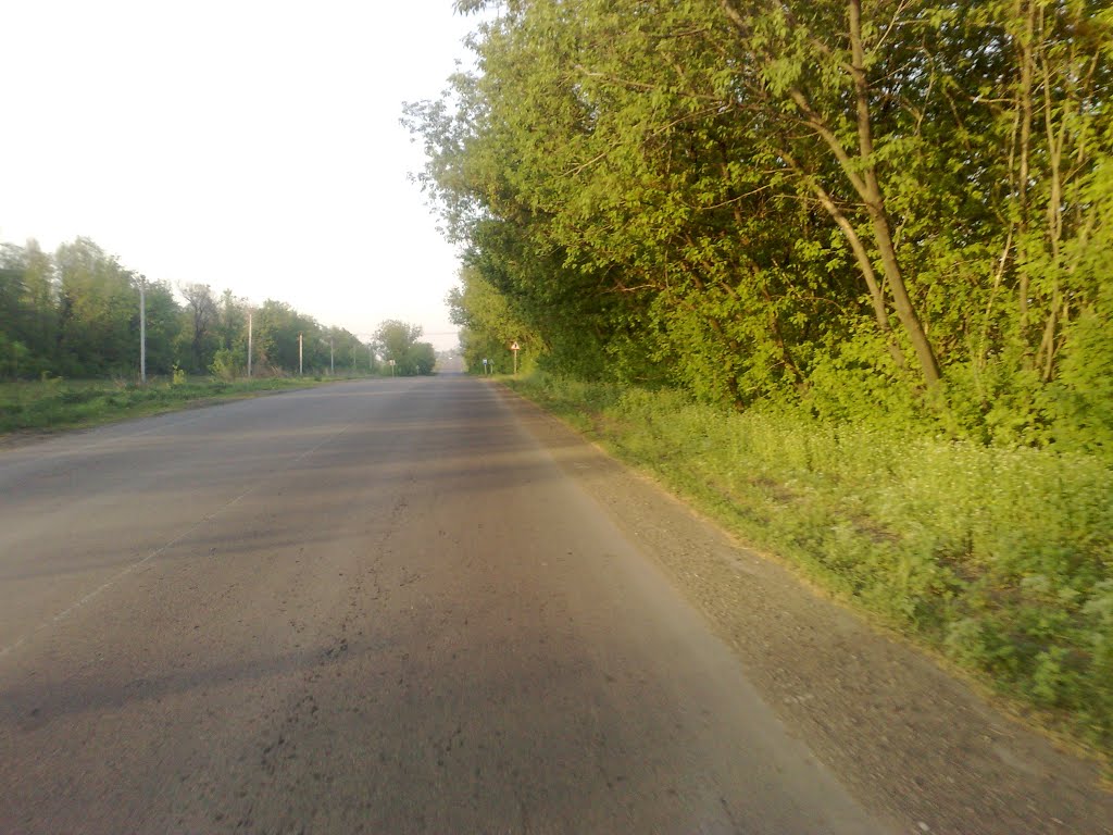 Дорога, центральная))))