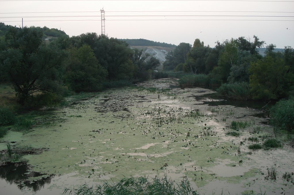 р.Деркул, август 2010 г.