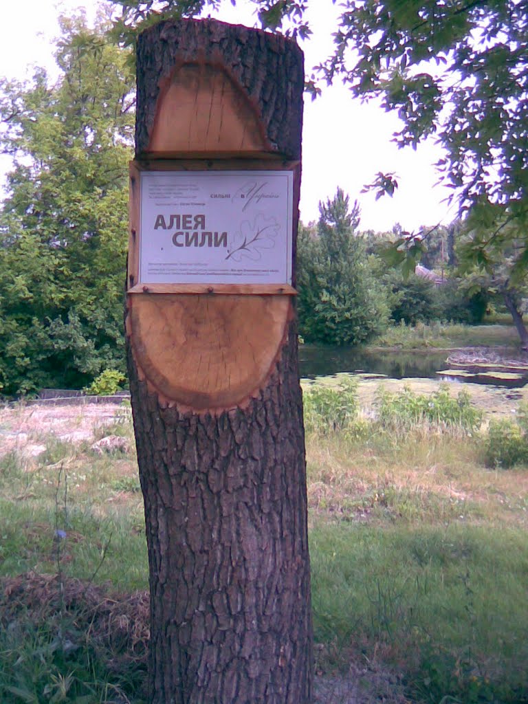 АЛЕЯ СИЛЫ