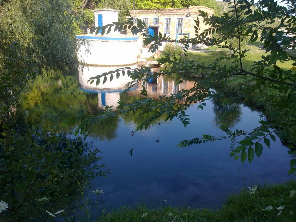 Живая вода