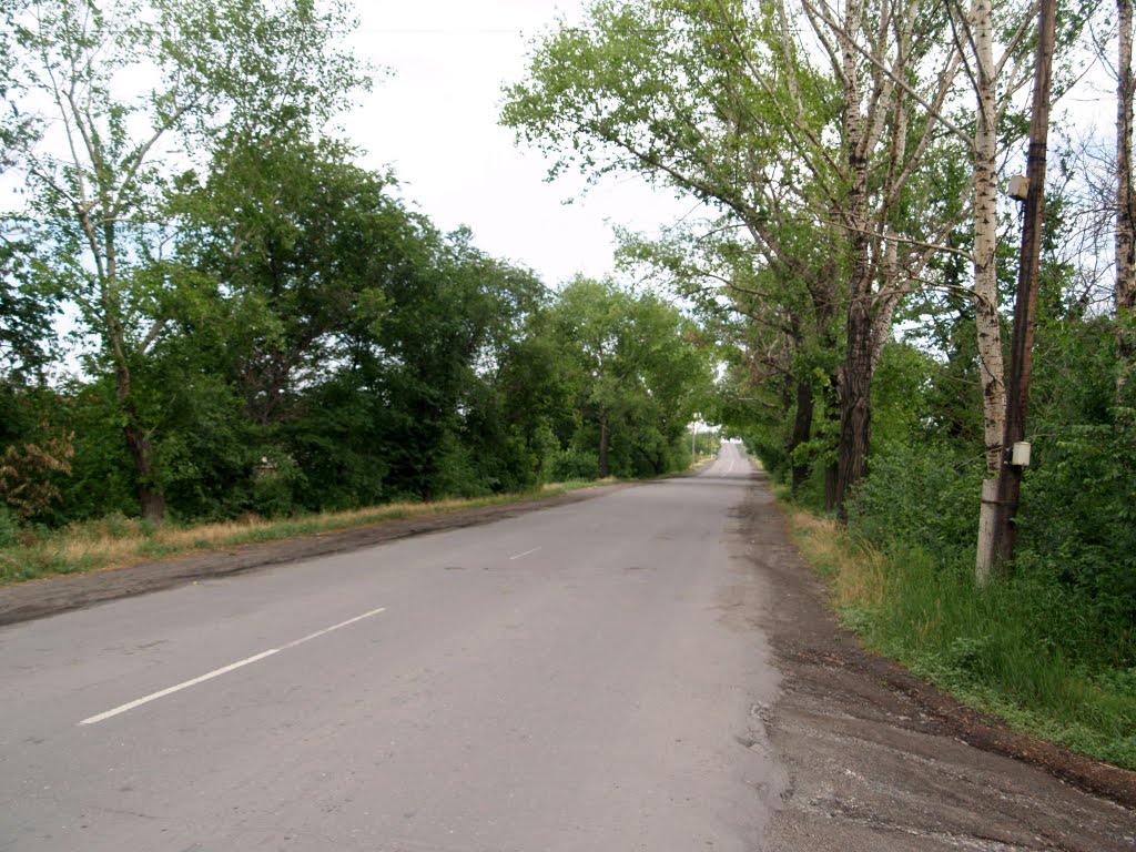 Дорога на Лутугино