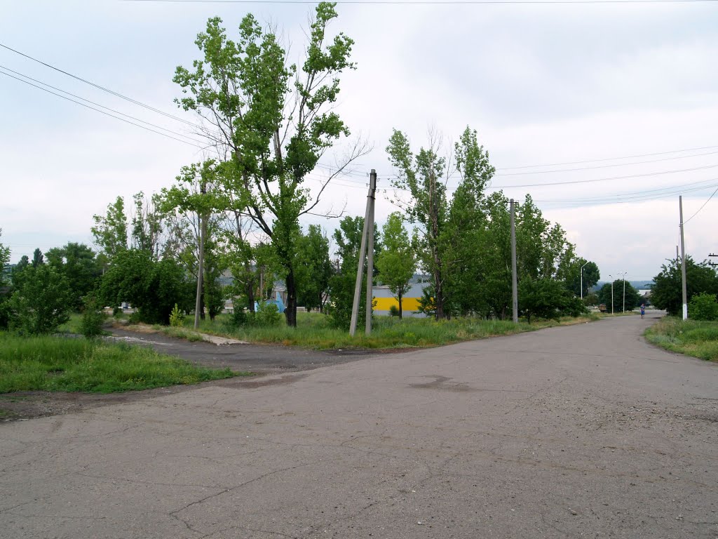 Развилка