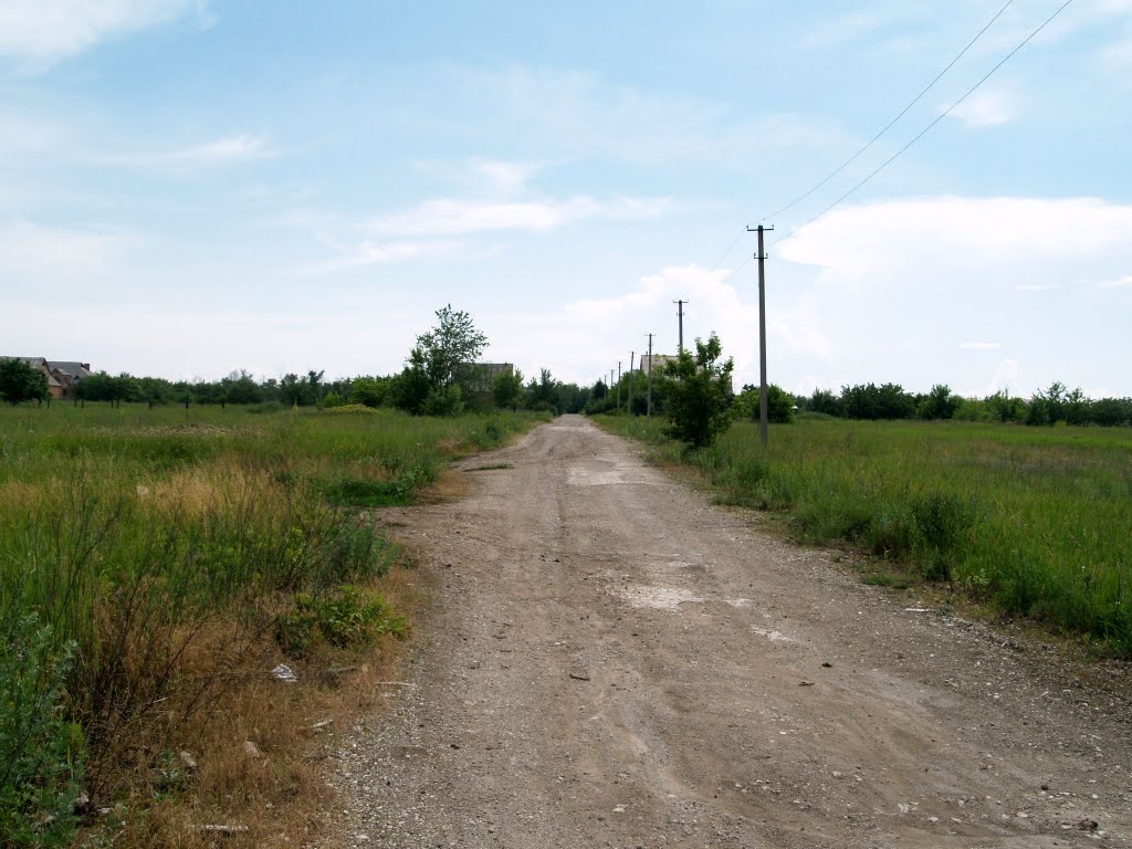 Улица