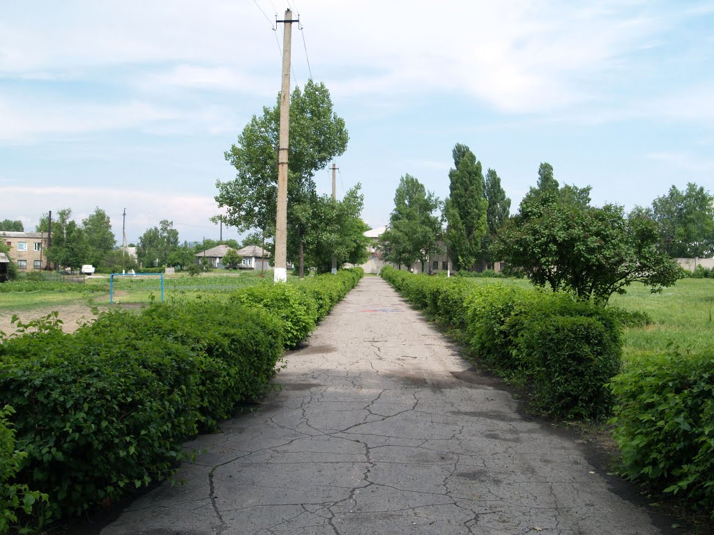 Аллея от школы