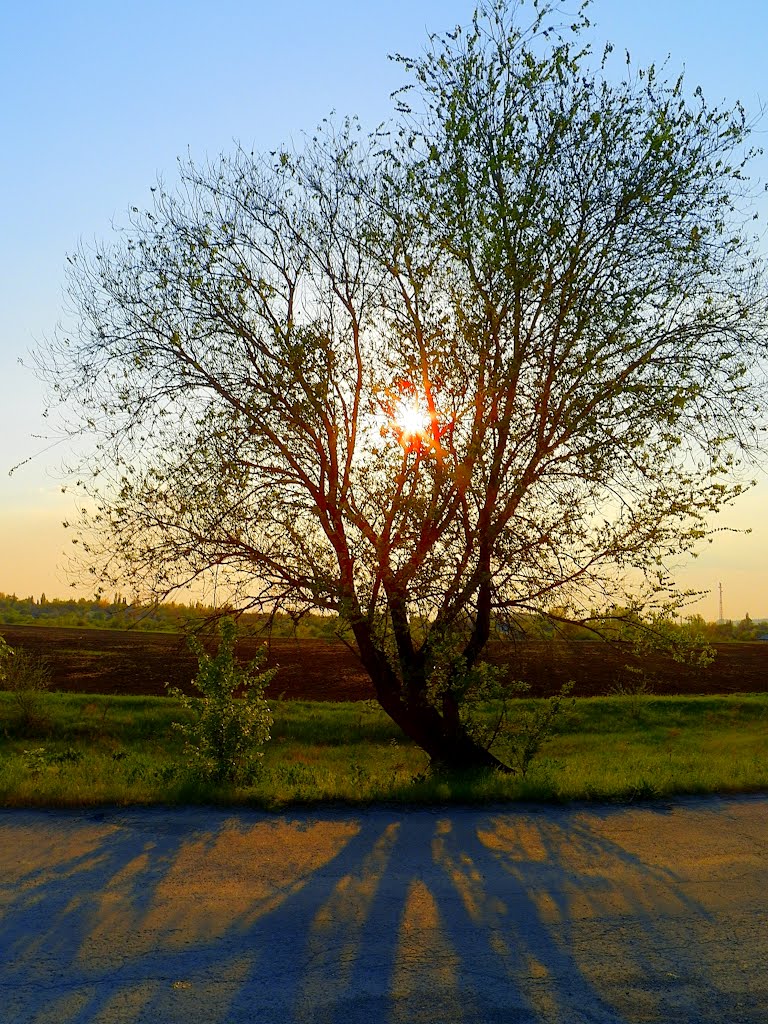 Закат в апреле