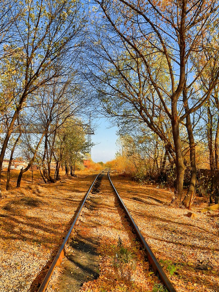 Осень