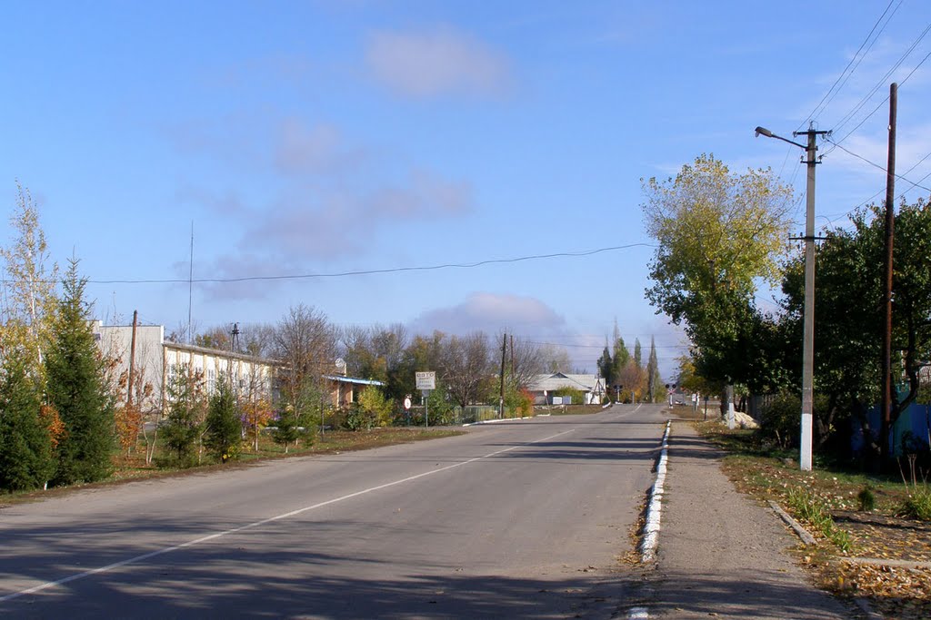 Белокуракино