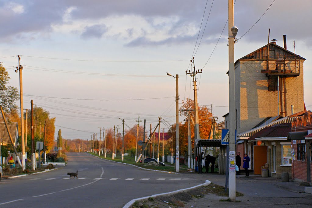 Белокуракино