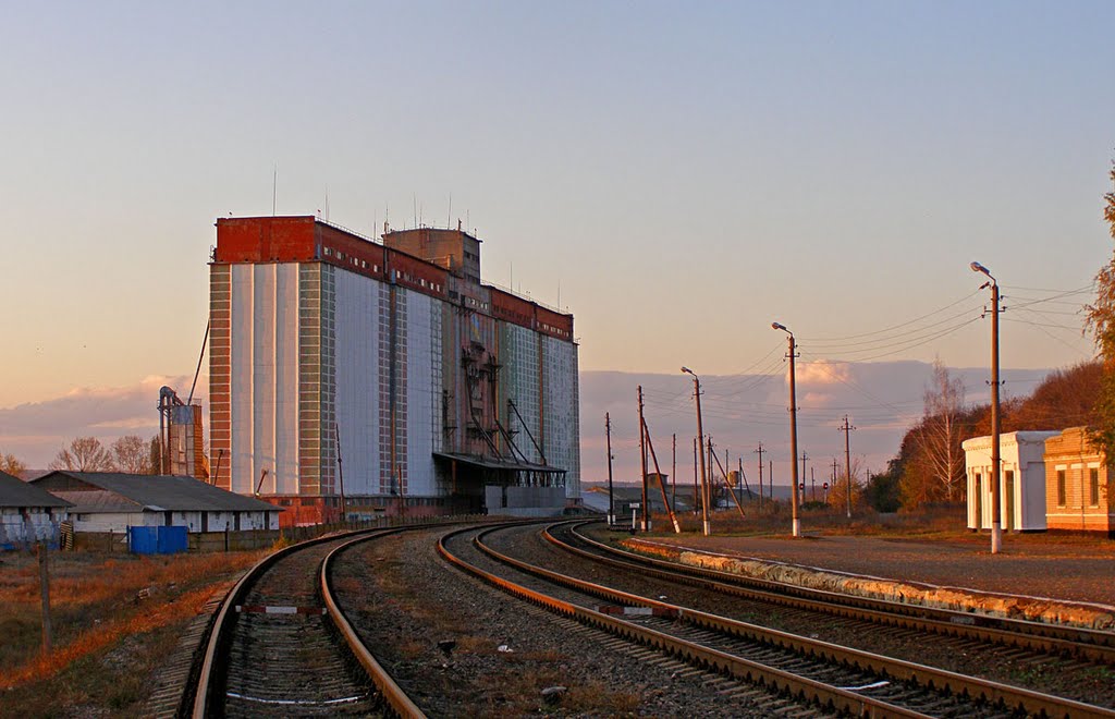 Станция Белокуракино