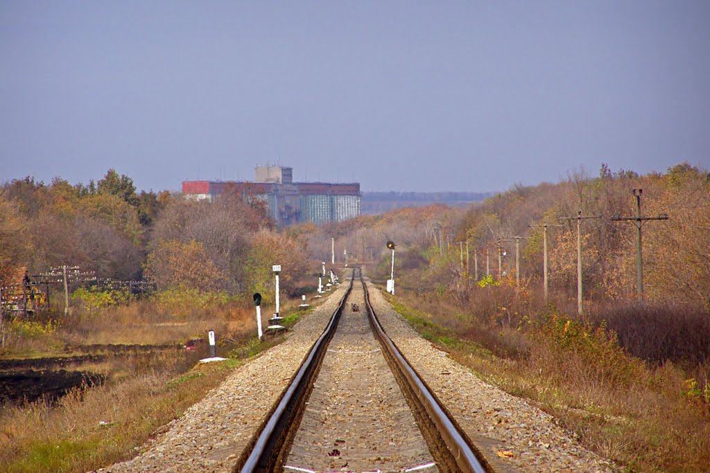 Pavlivka