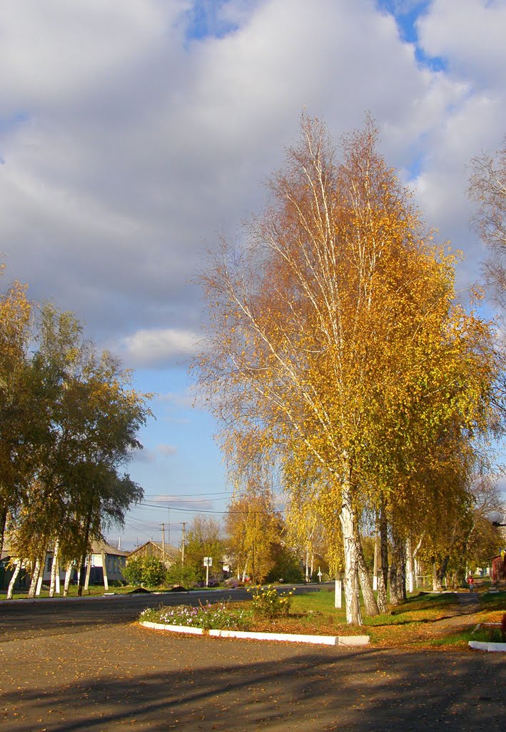 Белокуракино