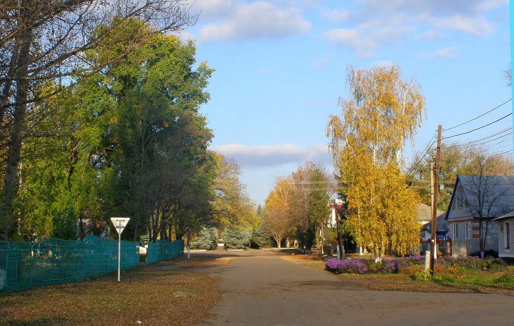 Белокуракино