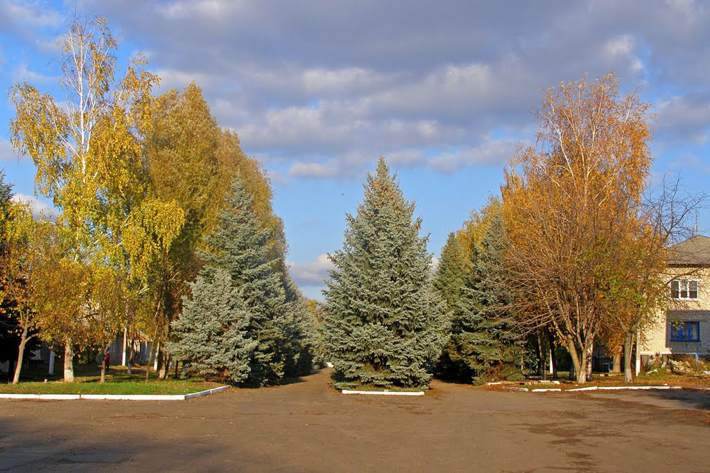 Белокуракино