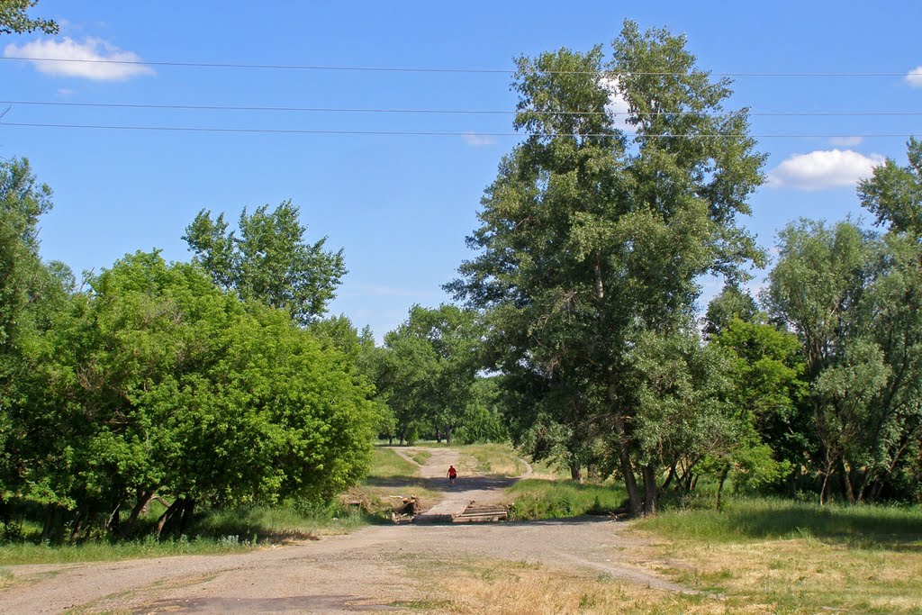 В Белолуцке