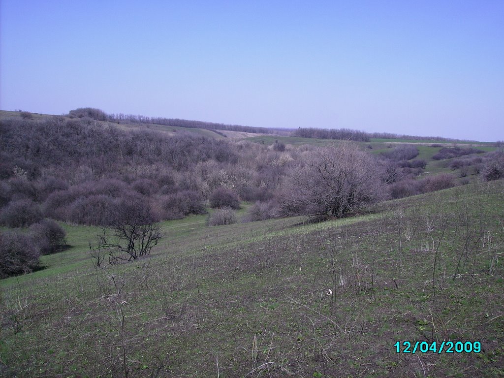 Таловая балка
