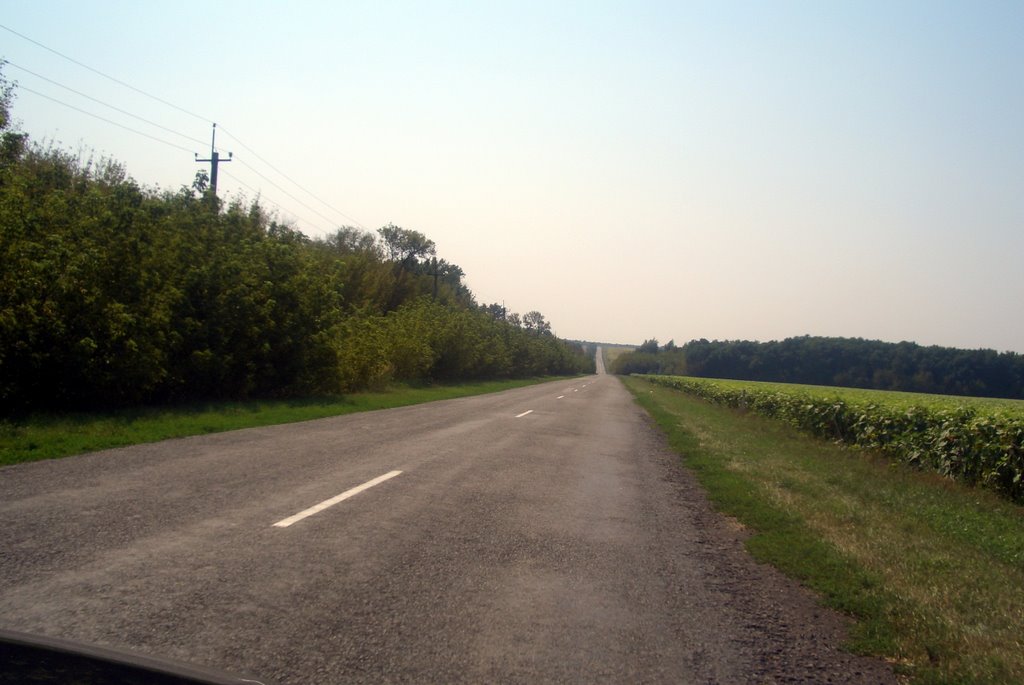 дорога на Ростов