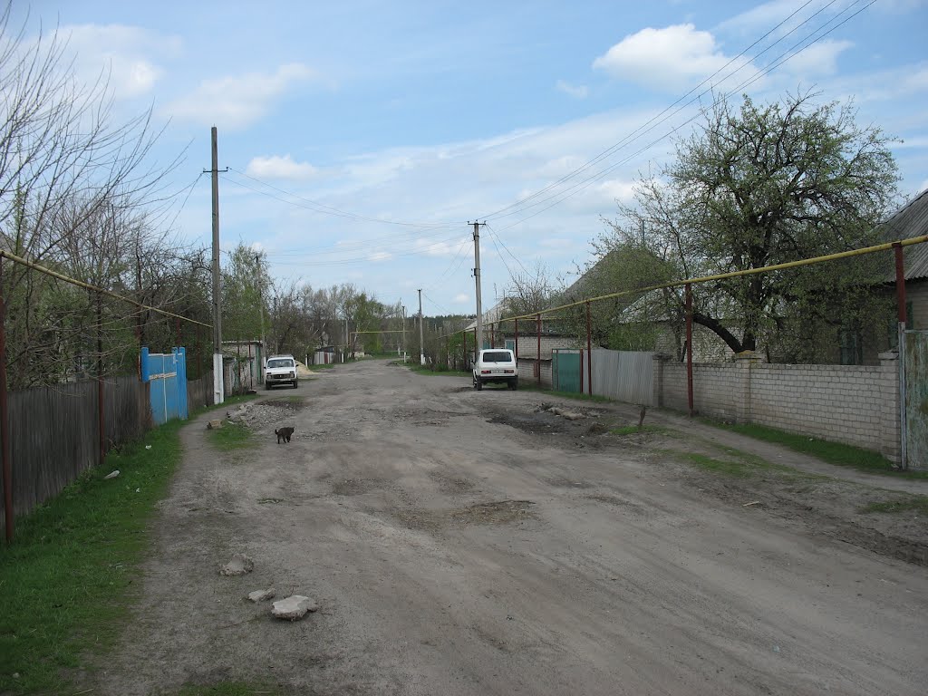с. Боровское ул.Свердлова
