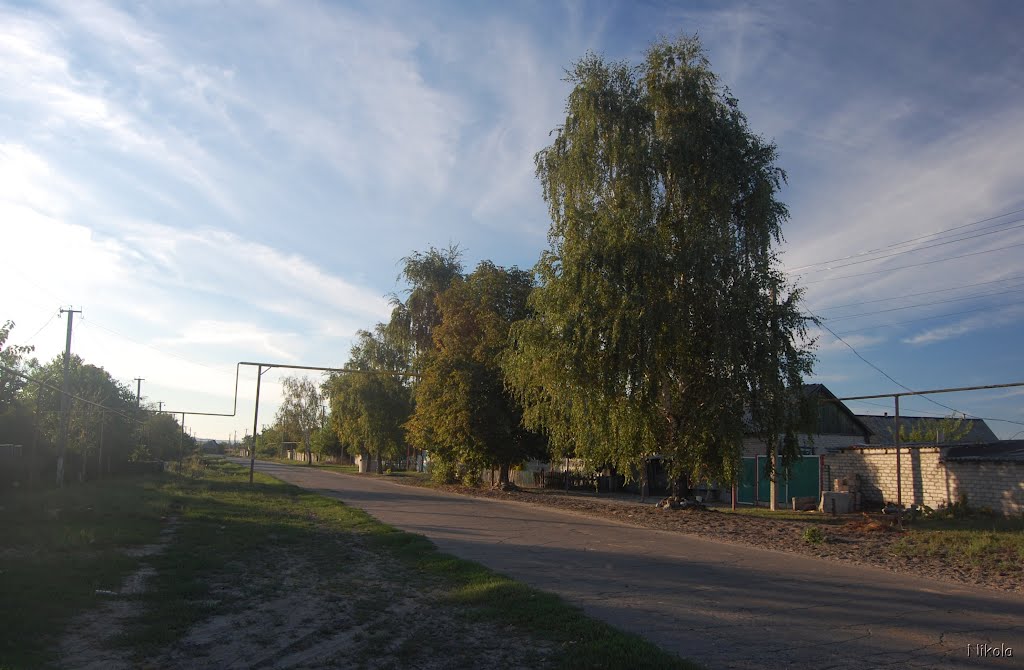Береза