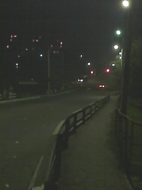 night life