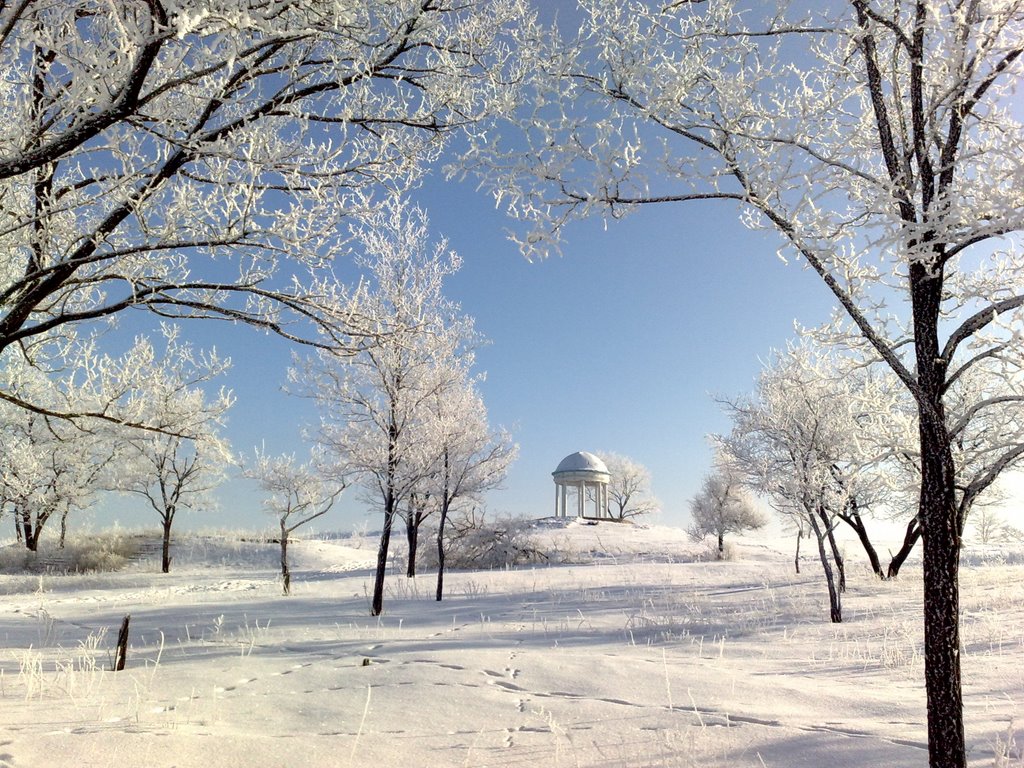 Winter. The highest place in the city (2009)