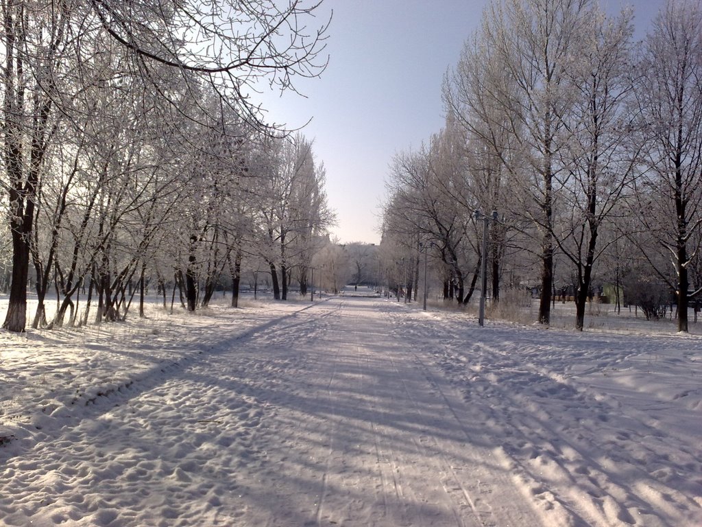 Park in winter (2009)