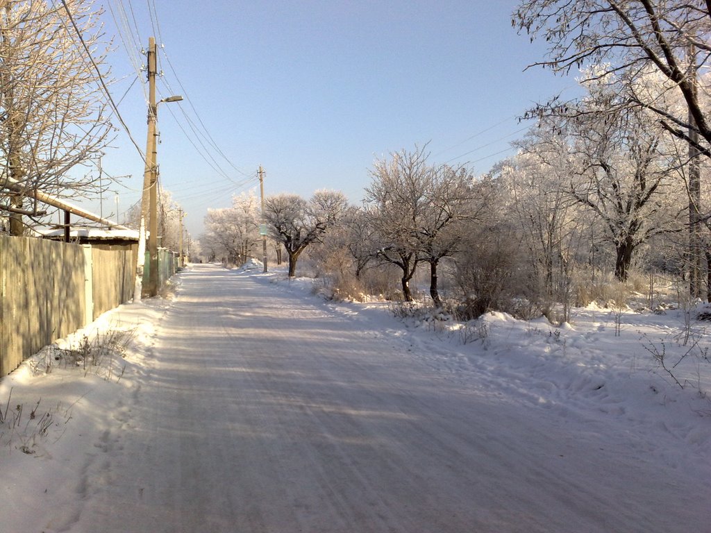 Winter street (2009)
