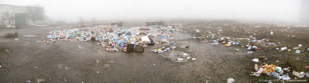 Мусор в тумане (10.01.2010)