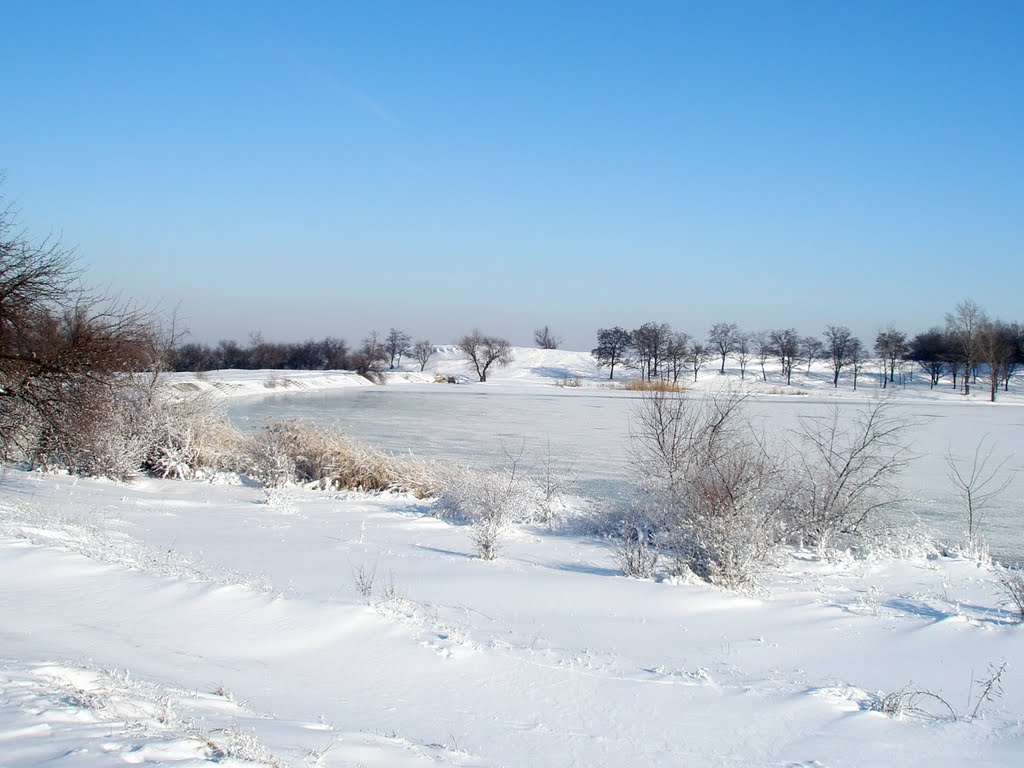 Winter lake (2010)