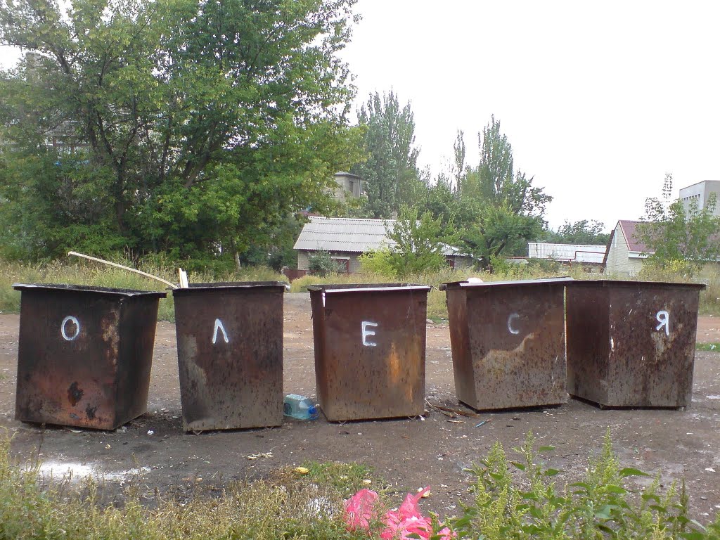 Бачки :)